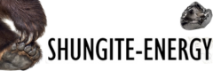 Shungite Energy Olga Beck